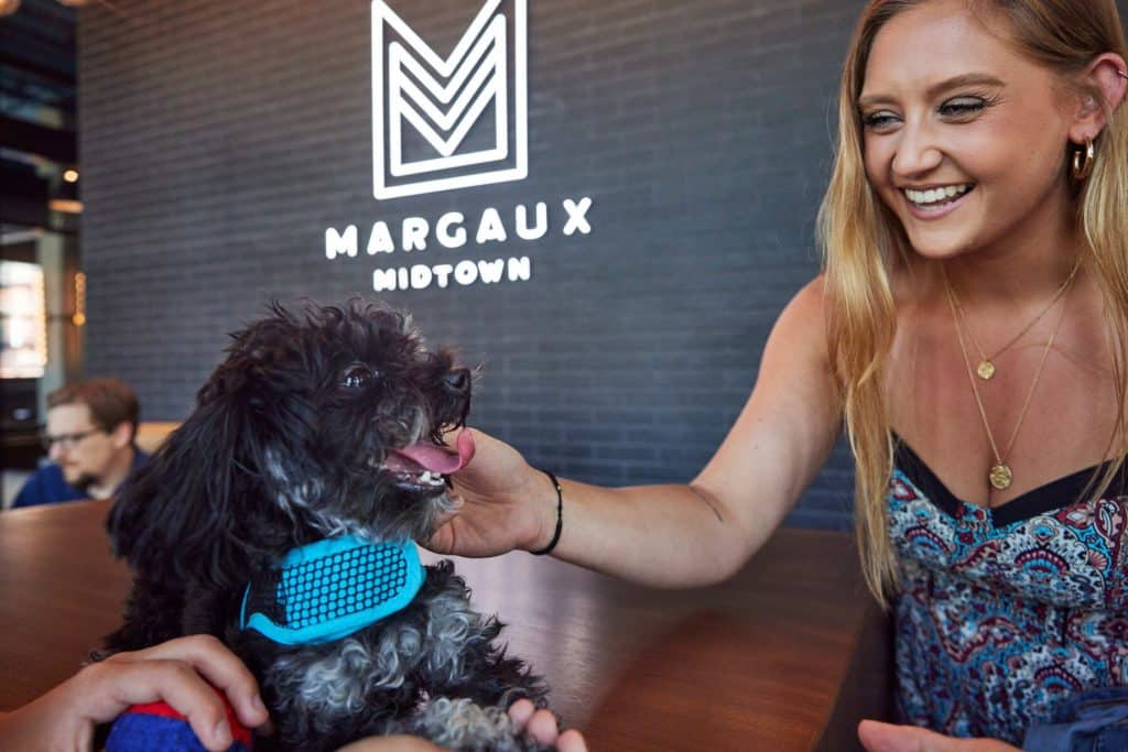 Margaux Midtown lifestyle photo of woman and dog